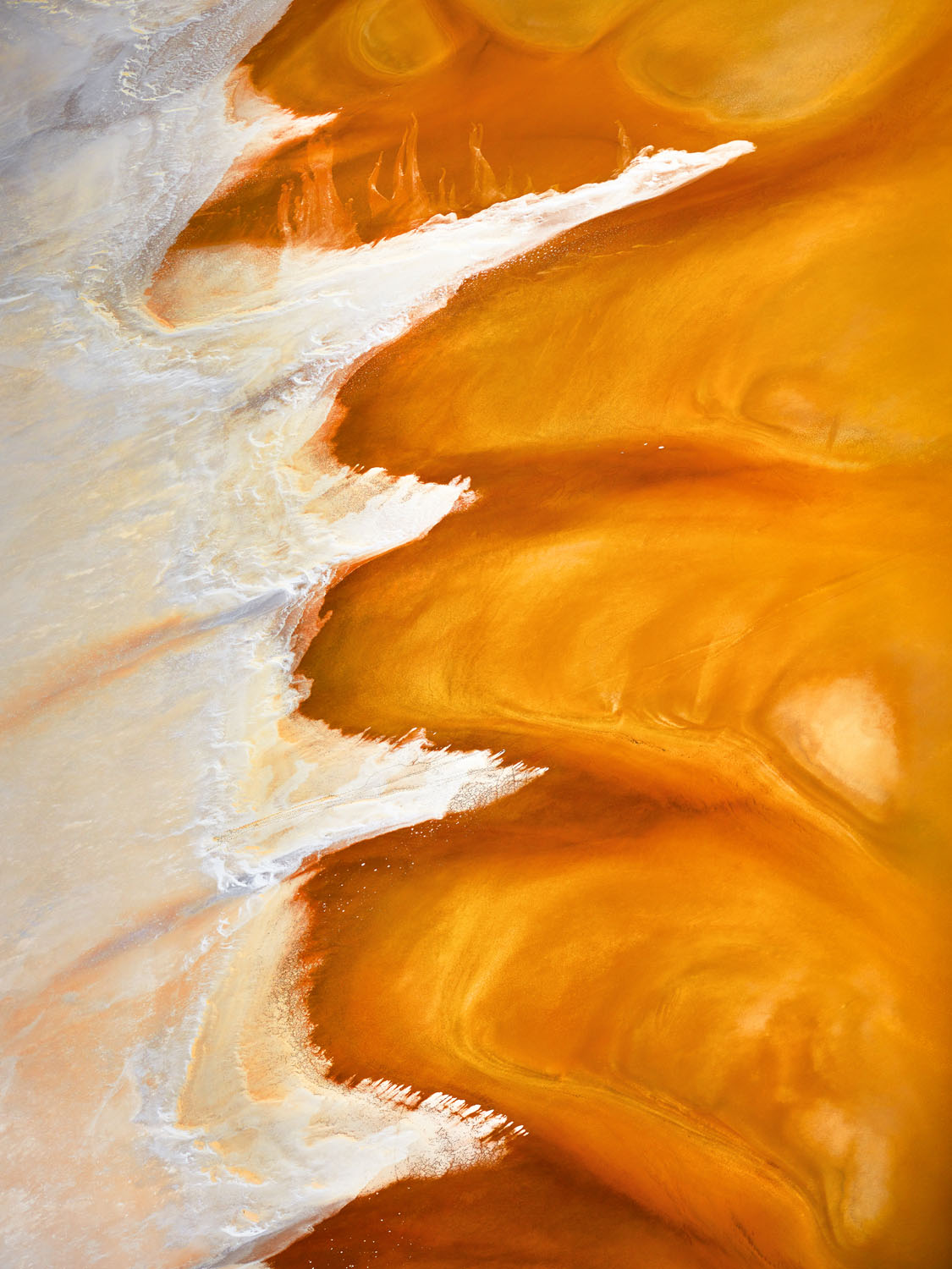 Melding In Orange