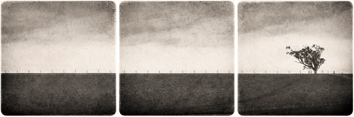 Against The Wind by Kaye Davis