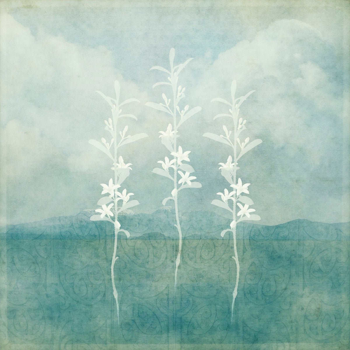 Aotearoa by Kaye Davis