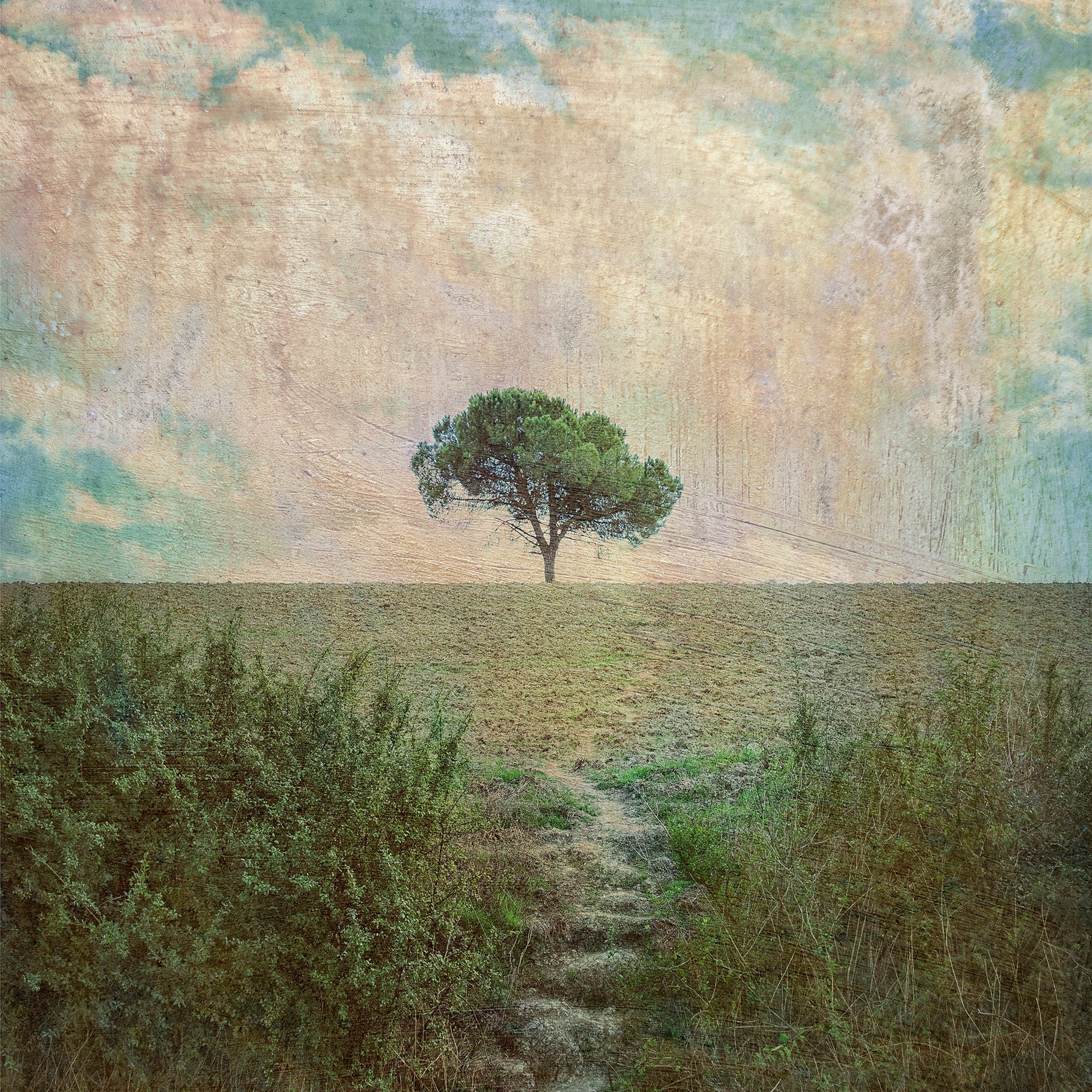 Becoming by Kaye Davis