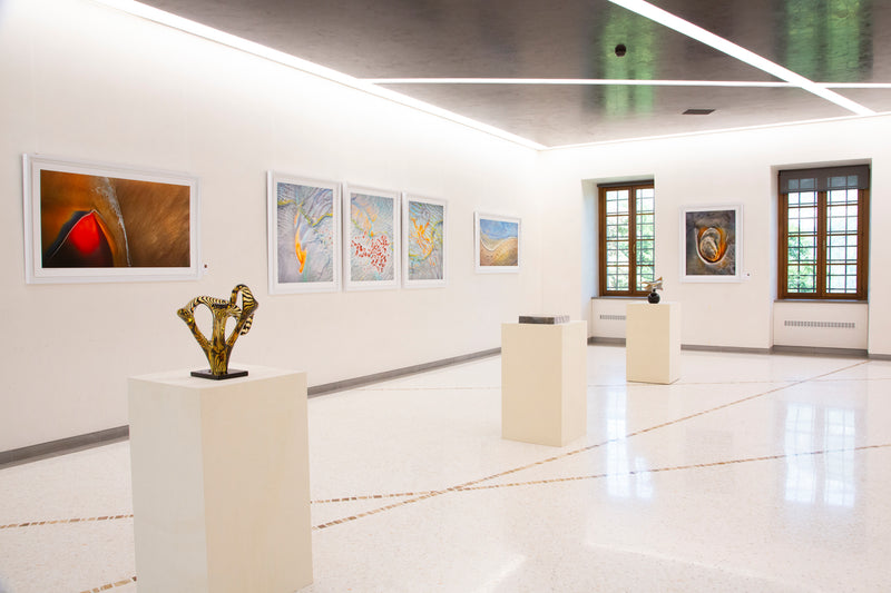 Castle Ceconi Art Gallery exhibition installation photograph 26