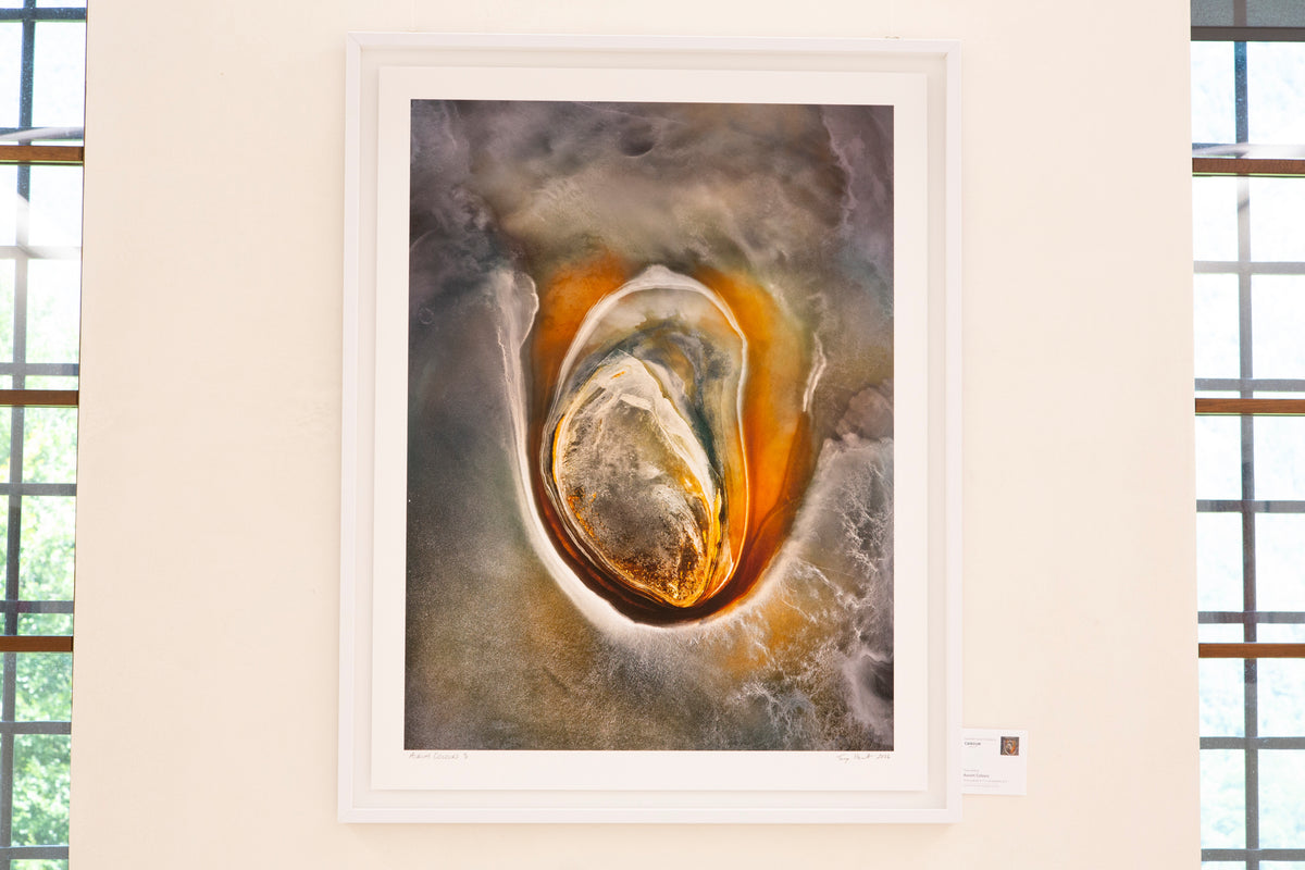 Castle Ceconi Art Gallery exhibition installation photograph 31
