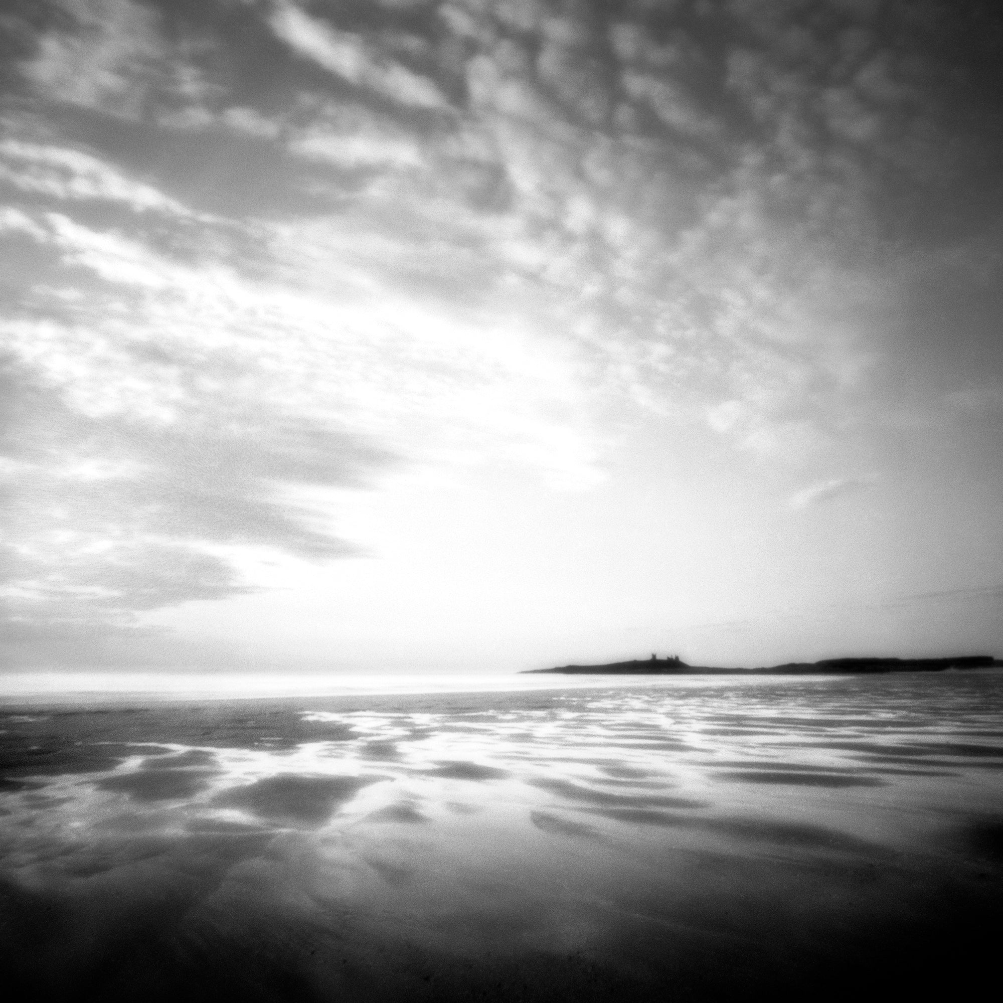 Dappled Dawn by Steve Gosling