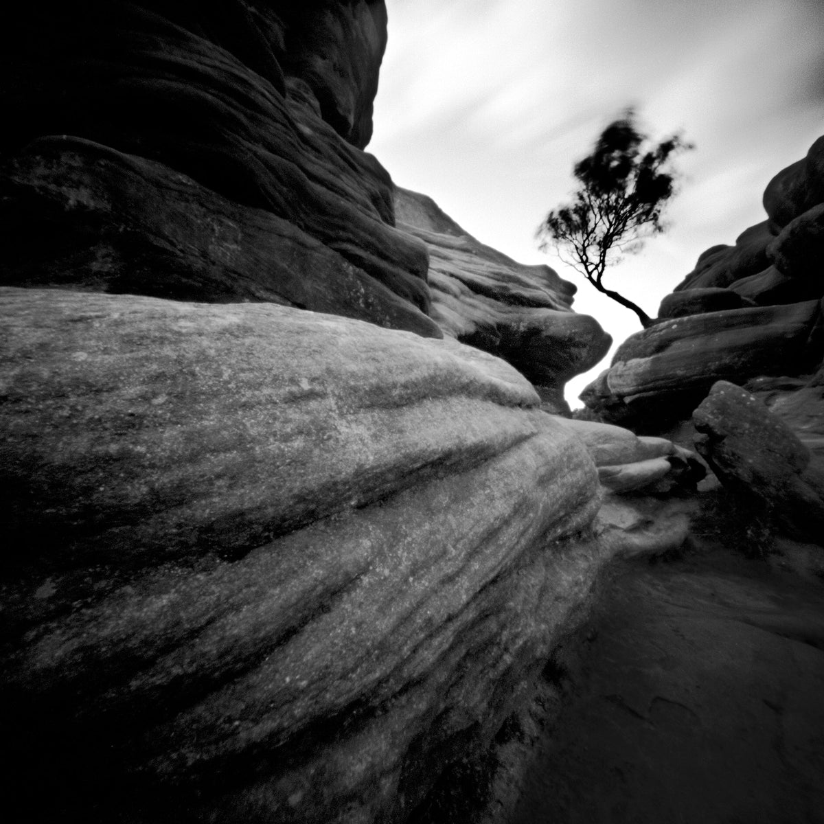 Elemental 1 by Steve Gosling