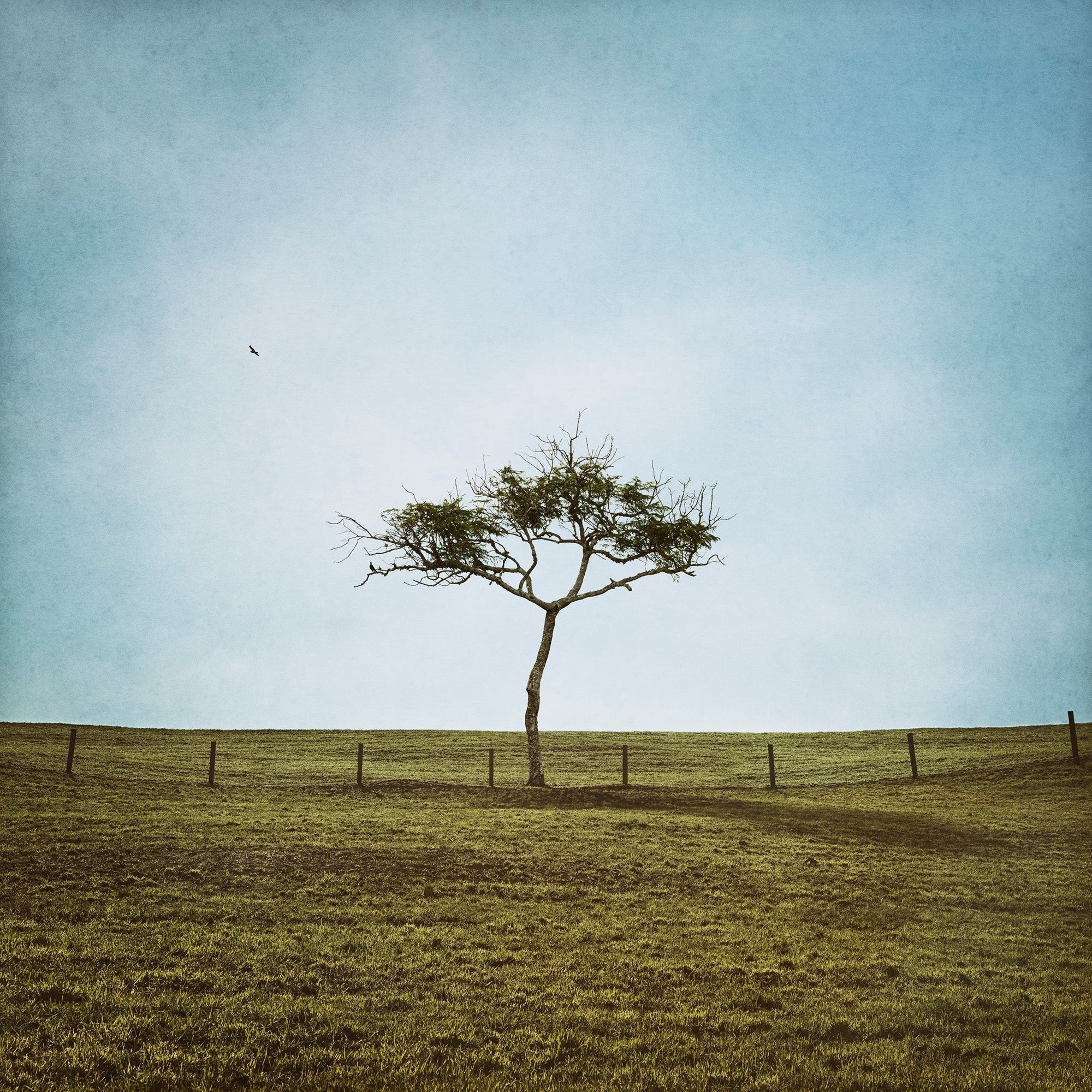 I Will Follow by Kaye Davis