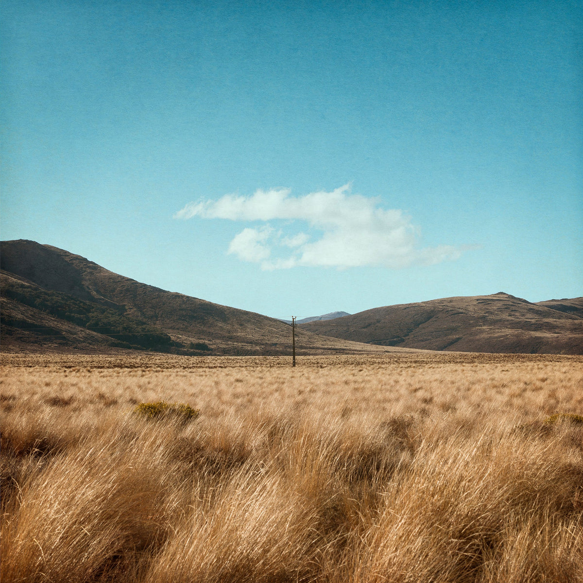 Power In The Landscape by Kaye Davis
