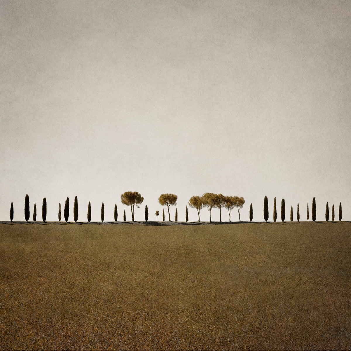 Punctuation by Kaye Davis