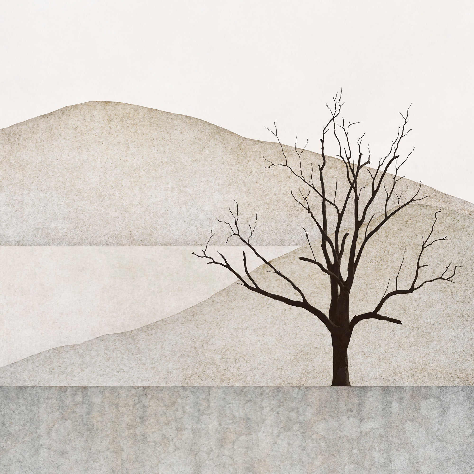 The Quiet Sentinel by Kaye Davis