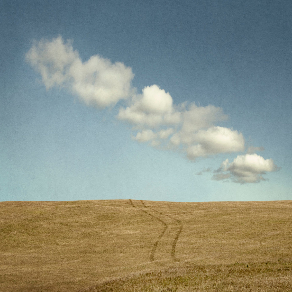 Traces by Kaye Davis
